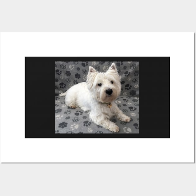 Westie Wall Art by princess-pirate